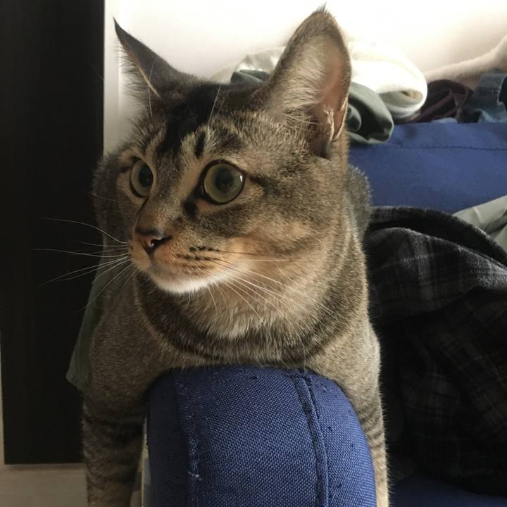 560d5cdc 091d 4f27 be79 2d38f6365b14