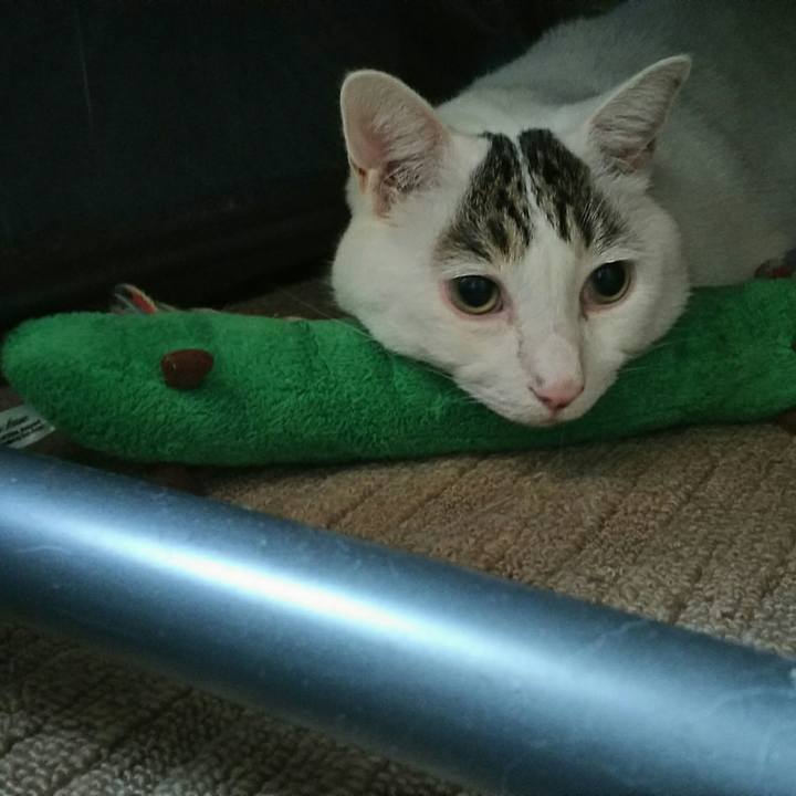 560d80cd ae01 4d0b b386 40ef08909b06