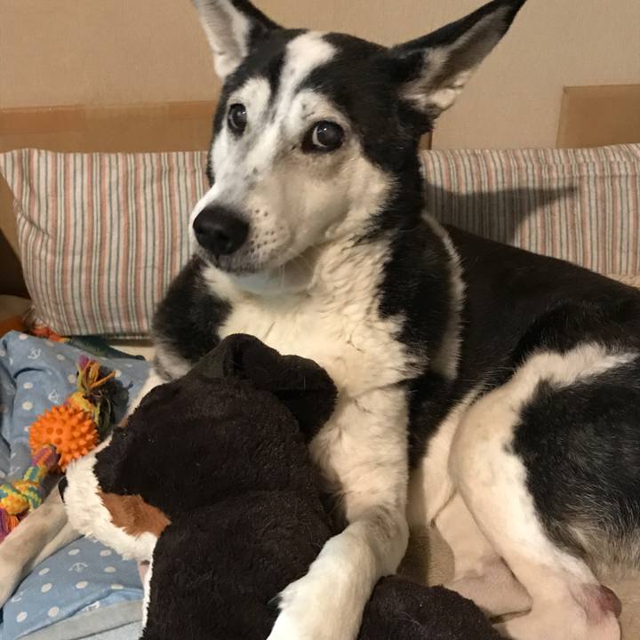 560dba57 1110 47b2 93c3 42cbcb2e55b4