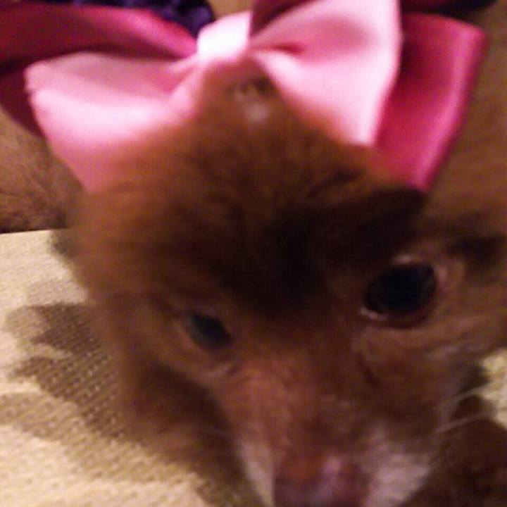 560eb7f9 9648 4f53 8aad 8ac8ec1ef786