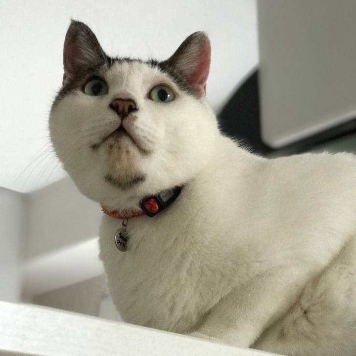 560fb7ac 4aaa 49cb bfa2 9ca396e875cc