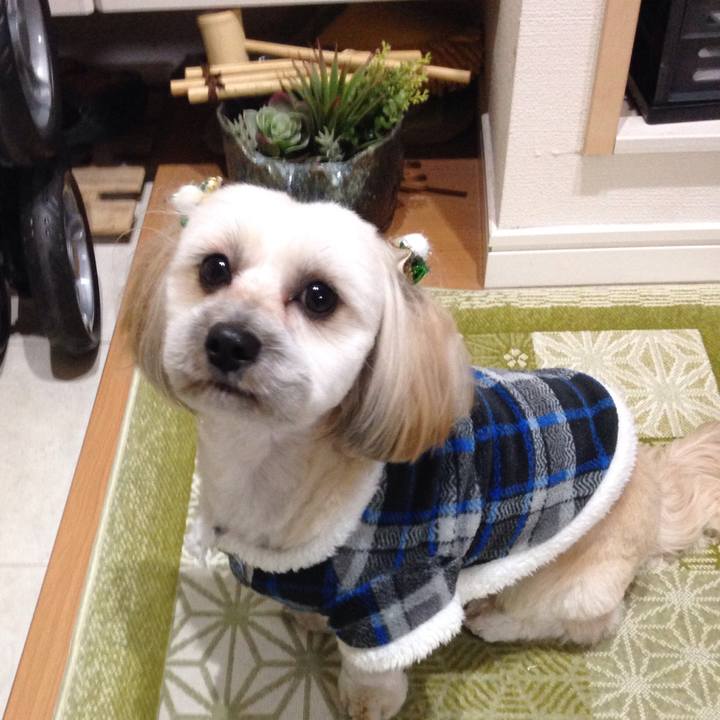 561018d9 f8b6 4591 85be e47466bbb968