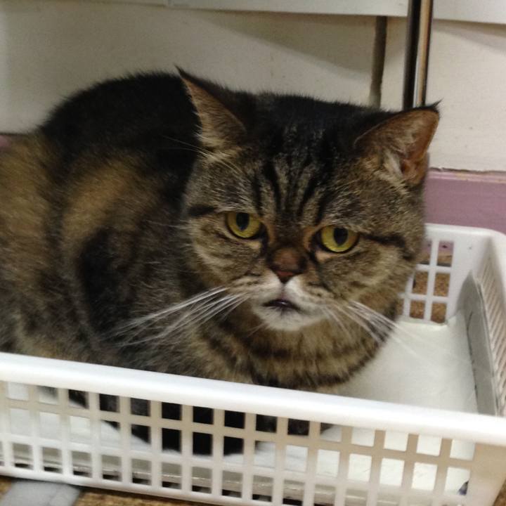 56105be4 a606 45b4 a80c 72d92ace5e50