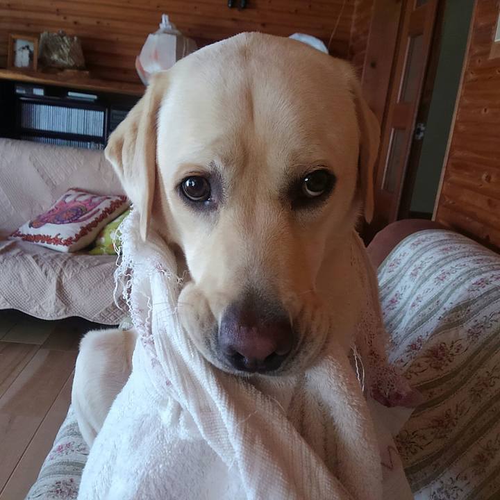 5610e54e 39f3 44a3 ae70 06040f74e9a0