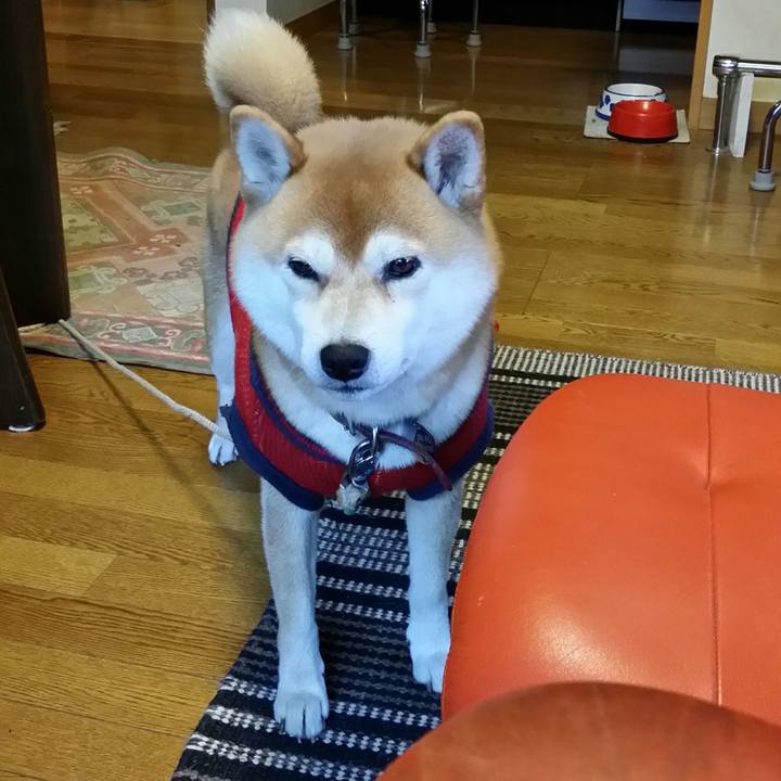 5610ef18 532c 4b7c a5e6 cc6943611d8e