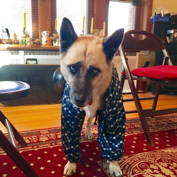 56122ece ee4b 4577 88d5 6606480532ed