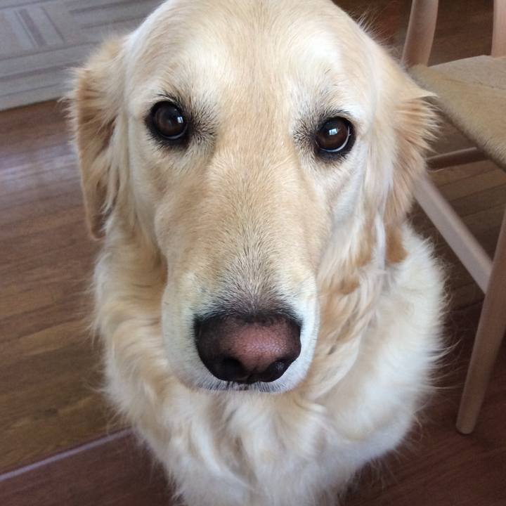 56126306 7771 4cb4 b600 e0f1a5f2f387