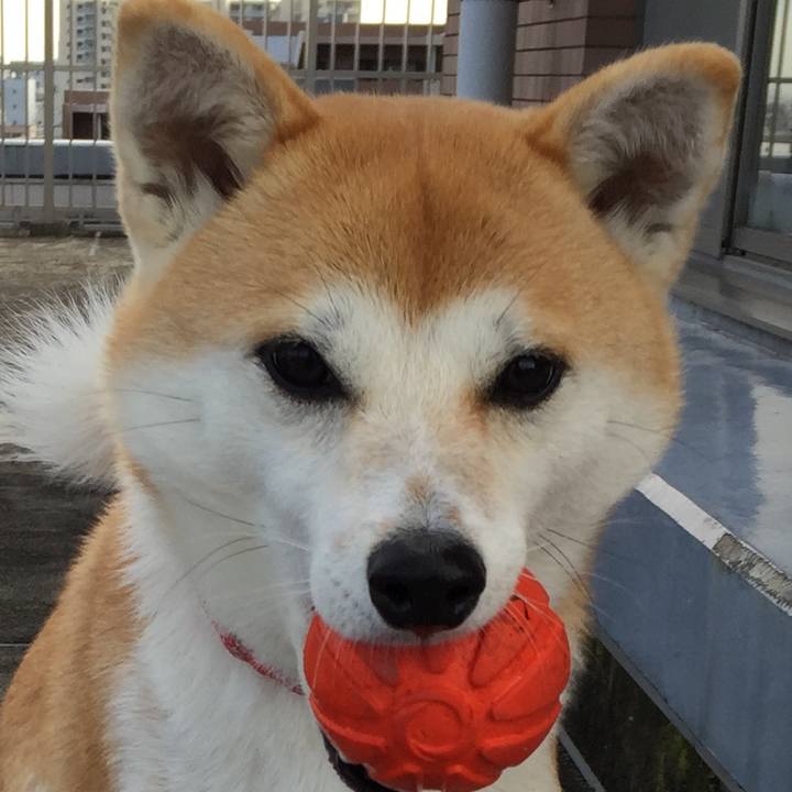 561303a3 51e5 4b48 a8a2 333b9c728f07