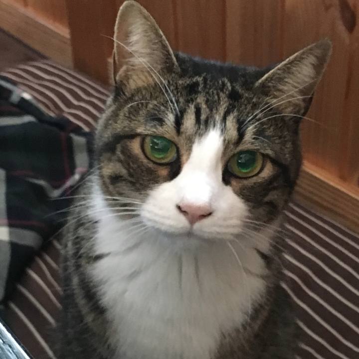 561304d3 4fe1 4ebc 8f5e 7d978f41ef91