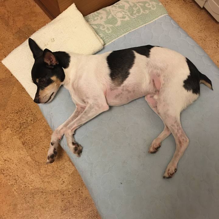 56132800 7926 47f8 8535 a8b645c3f379