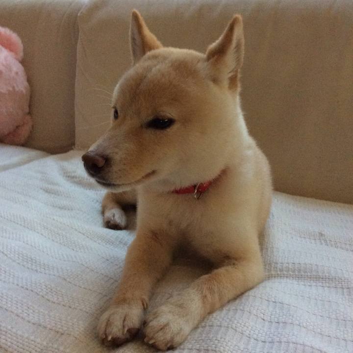 561351ab d310 4369 84e8 be8d88d8a435