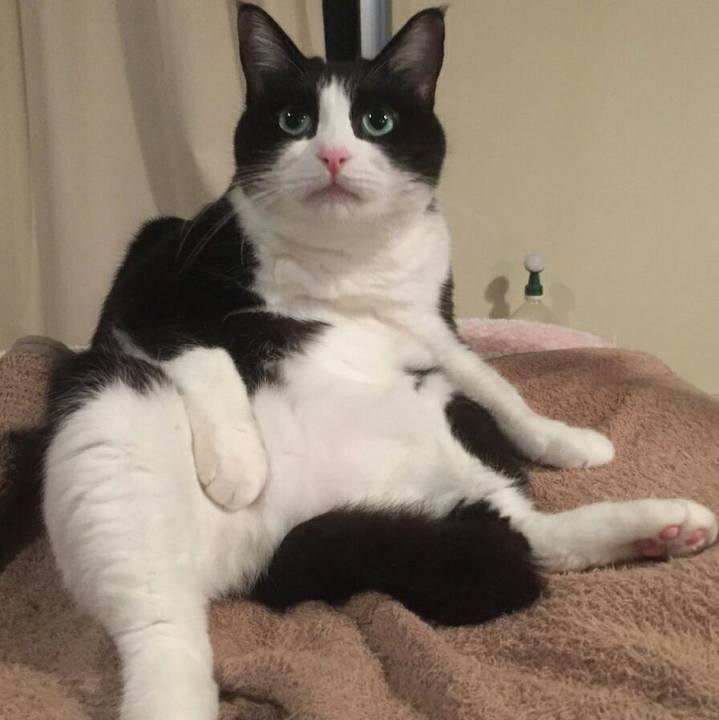 5613a25a 5fba 43a9 b5a4 0b42bcbfc780