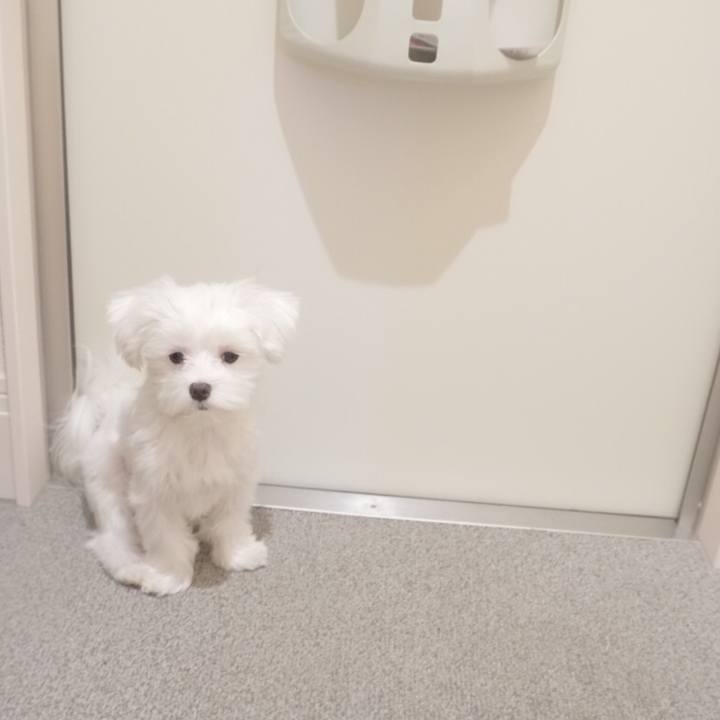 5613f2da 169e 4caf 8738 2082499187b0