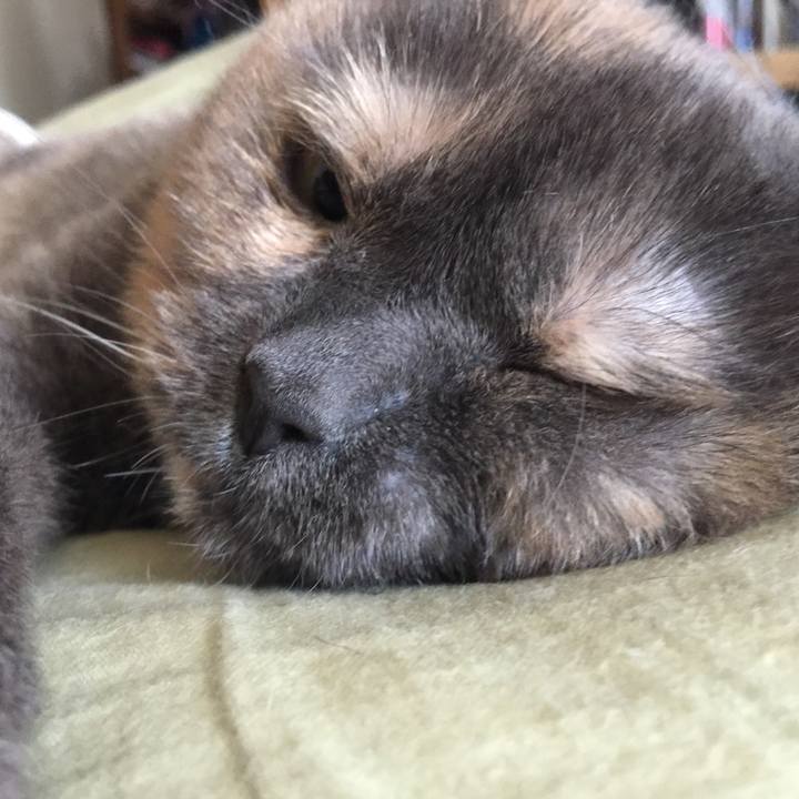 561481e3 8ff2 4d9a bee5 9fdce7e3f5da