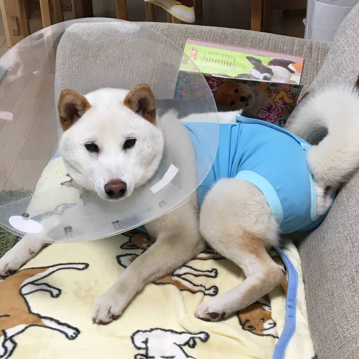 5614e968 0497 4456 8548 8522dc5f3b34