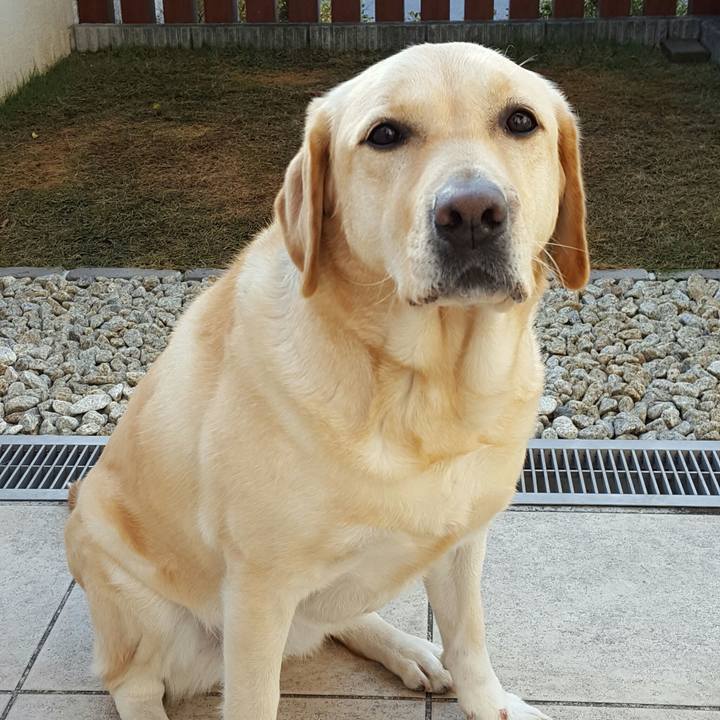 5614f3bc afbb 4062 a790 3144da792e9d