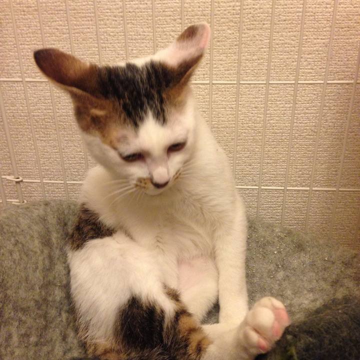 5615e853 9ce6 4a0b 891c 59743207db28