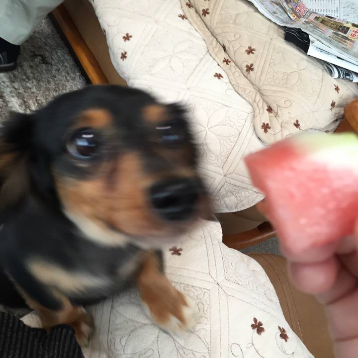 561616fe 44ec 4ba4 b561 3bc7ee9d7c15