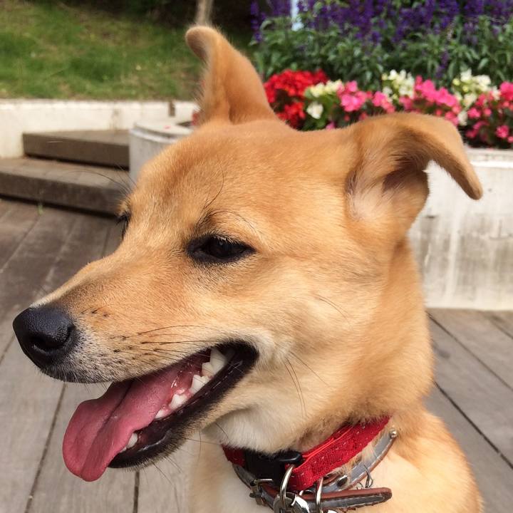 56168876 889a 4f52 82c5 91274c75de58