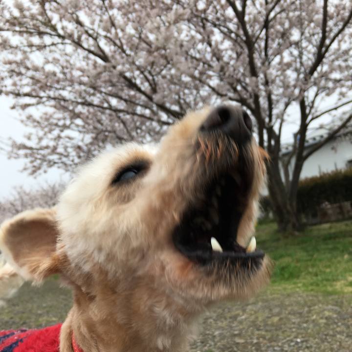 561778b3 c874 46d0 a4a1 233ce713261e