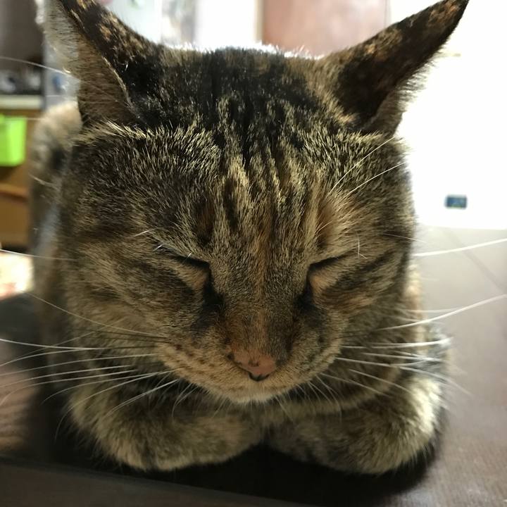 5617d7e2 c9ce 4969 a625 8811c963a061