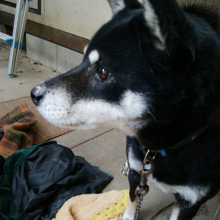 56182906 57ca 47e2 a28a 057424ff9570