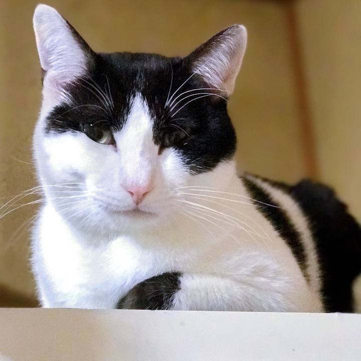 561829fb 628a 4a51 845d efac70d71002