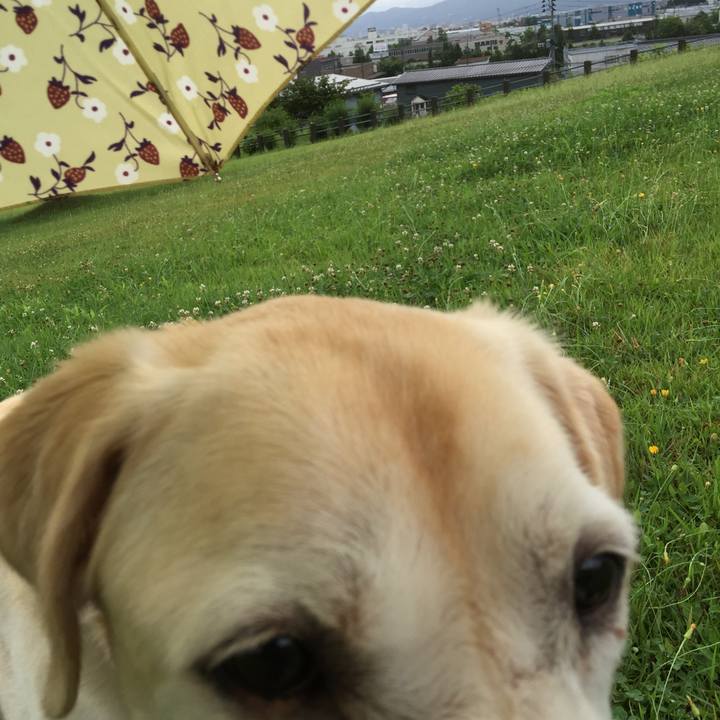 56184d97 0d8a 4837 a630 d9ee6795687d