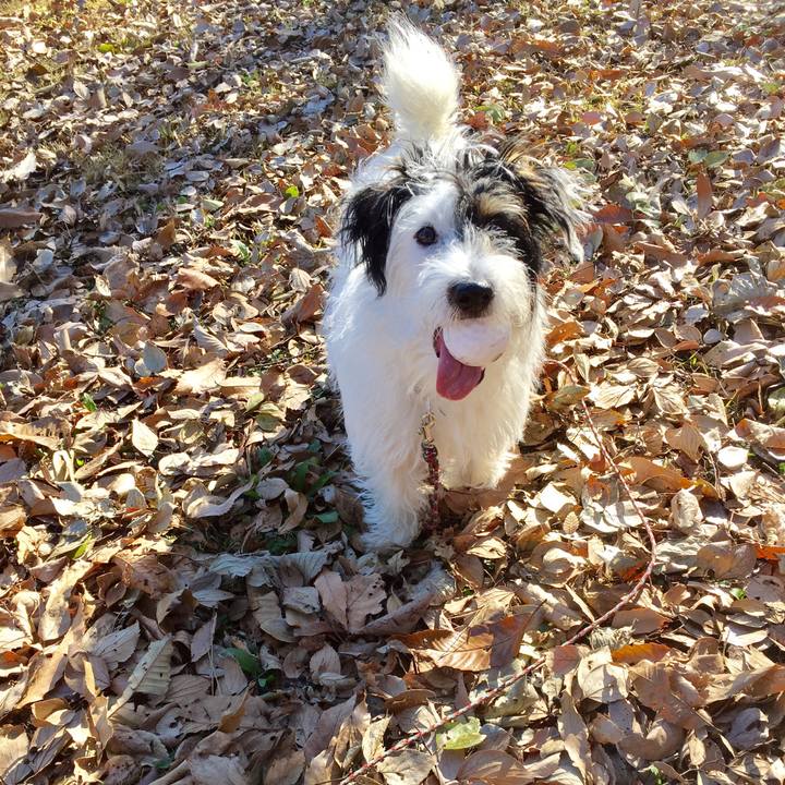 561864e8 6d41 403f 87e3 1662764061e1