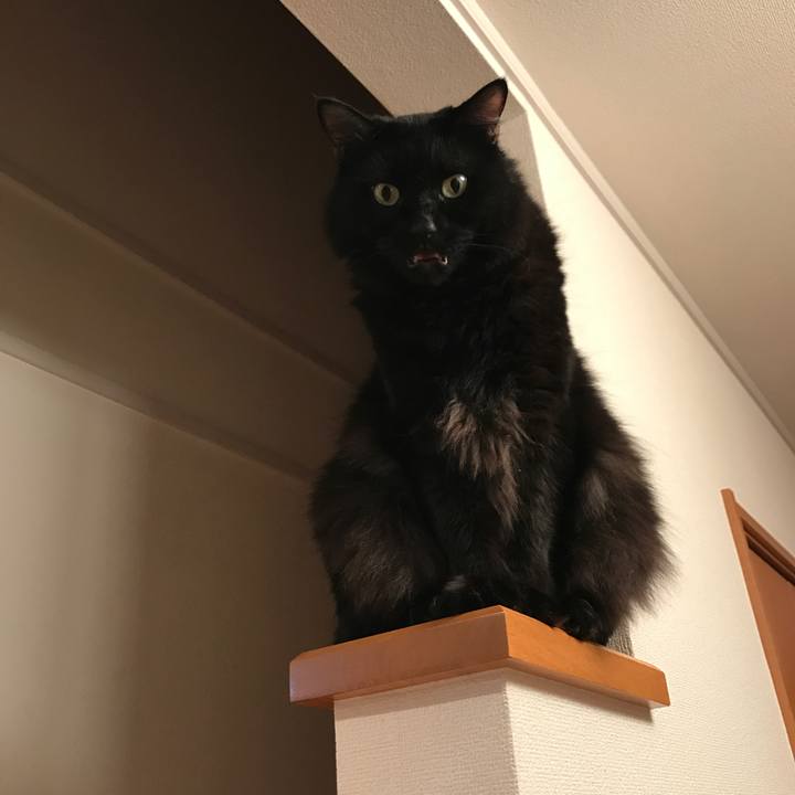 56197edb 7941 4d94 bbbc 7bc8c5828589