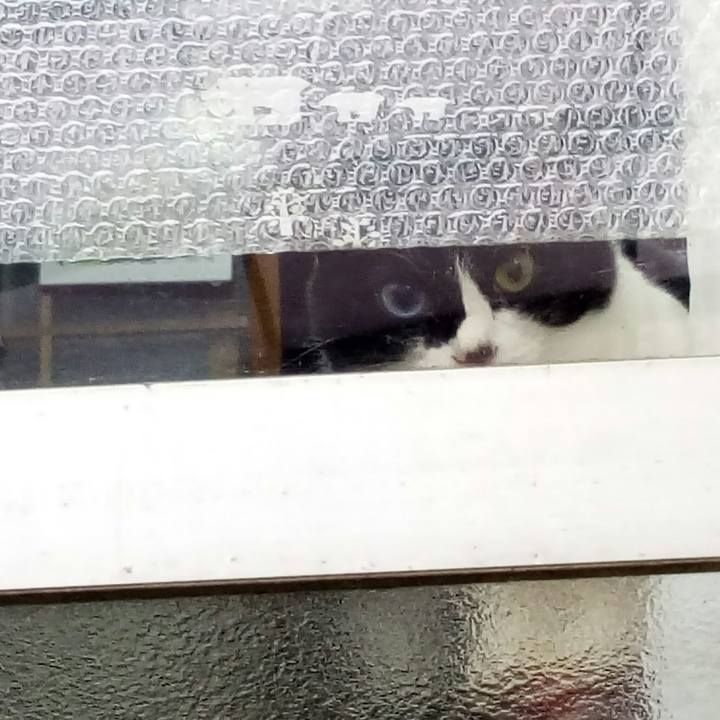 561981f5 f4d9 4db4 9aaa fb9e74f64ef9