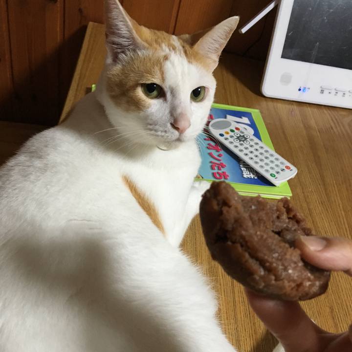 561a3c56 1c83 4aa8 9f73 703f611cb81c