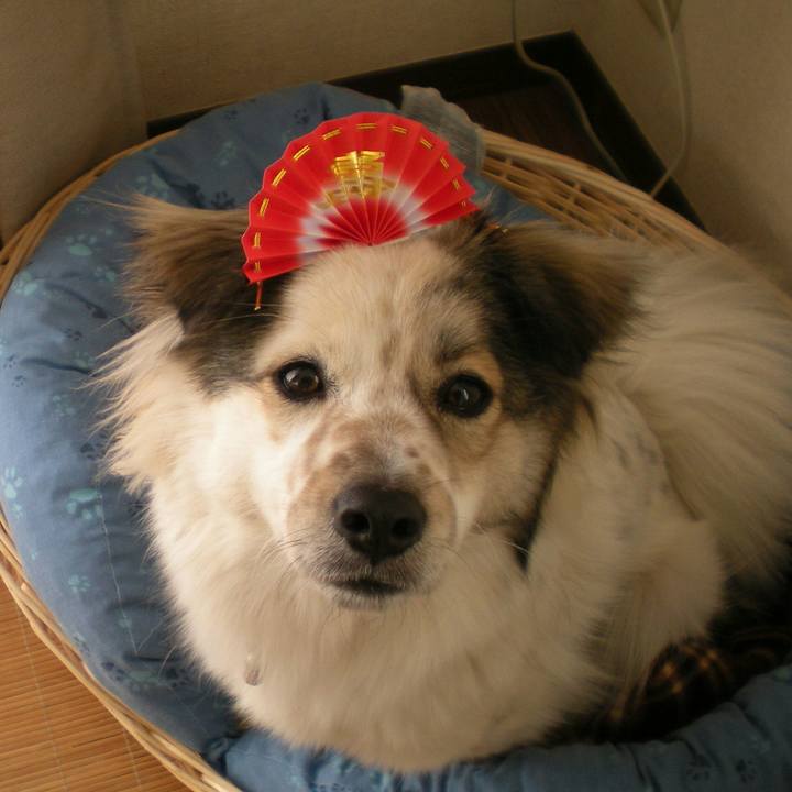 561a7a73 92cd 428a 8945 6d6c71ae8d1c