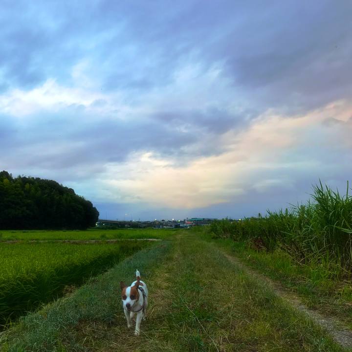 561a980b 939f 49c5 9b1c 42fe2b848653