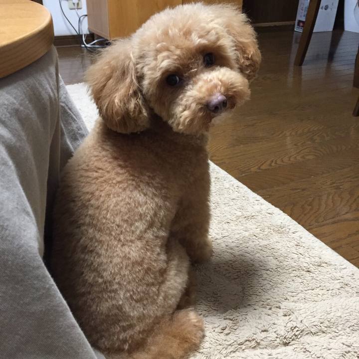 561b7475 5e64 4827 a1e2 f1306c811781