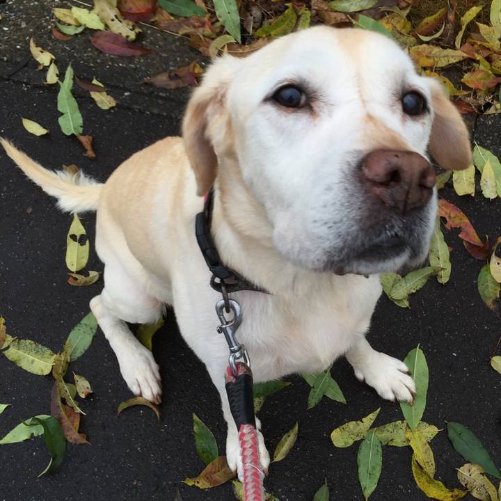 561c674f 72e3 4c30 a44f b2d336aa2b62