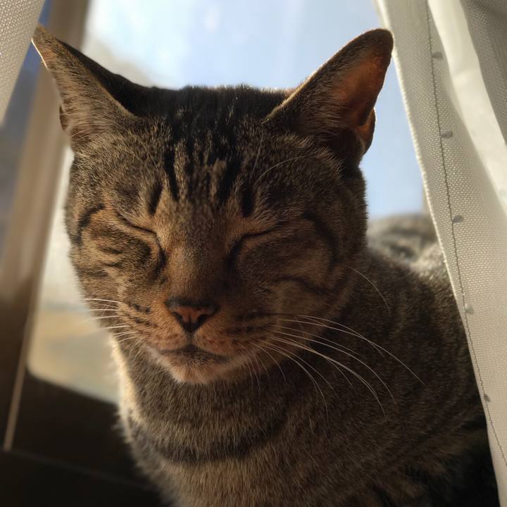 561ca816 89c8 4e27 b474 32f6962b4044