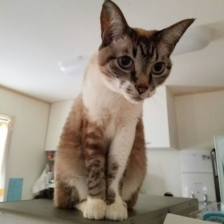 561cc52b 1a61 41a8 b651 f3bc558b2f7e