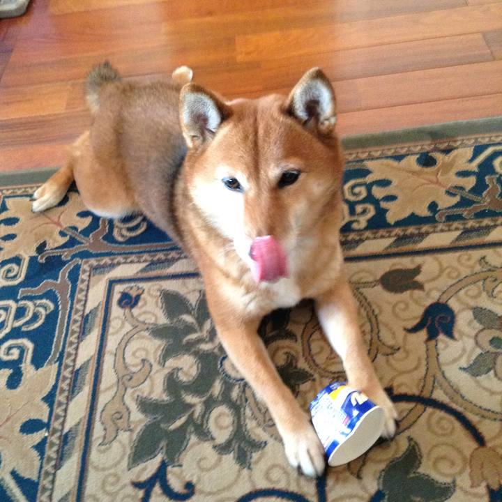 561cd78d f2ac 42cf accd a4badf256694