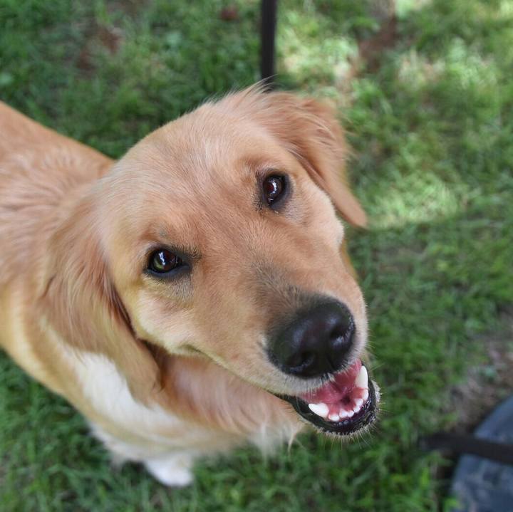 561d8a34 fe35 4075 b500 3aa05bd55393