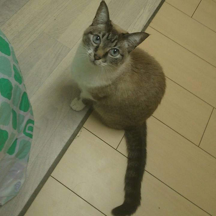 561dfa05 5747 4d52 b63b e58987e381cd