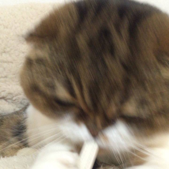 561e9ab8 beba 464d b45c ab6ca071e625