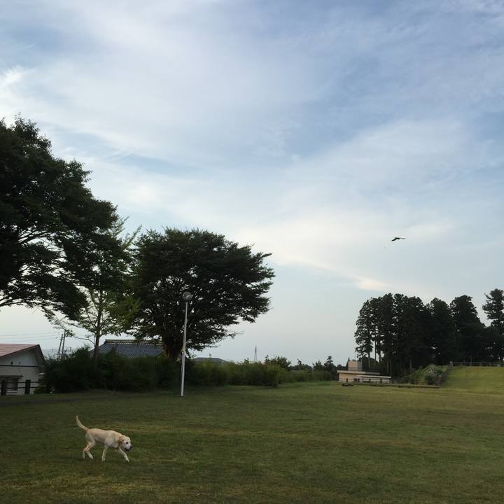 561f0368 0f9b 4ab3 85c7 7471512f45b6