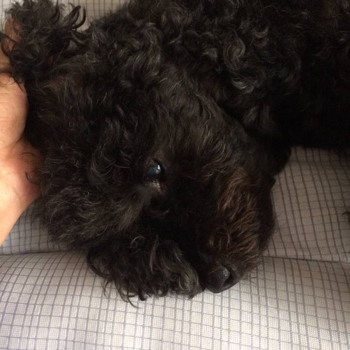 561f88ef 51eb 40fa b909 54341772e165