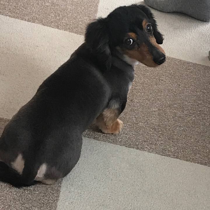 5620061b 837f 411a be14 5d822bf664b2