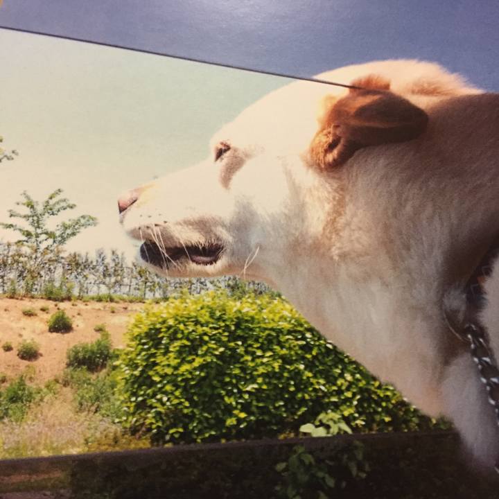 56200ad3 506d 4c8e 9b45 b71f2febe4d2