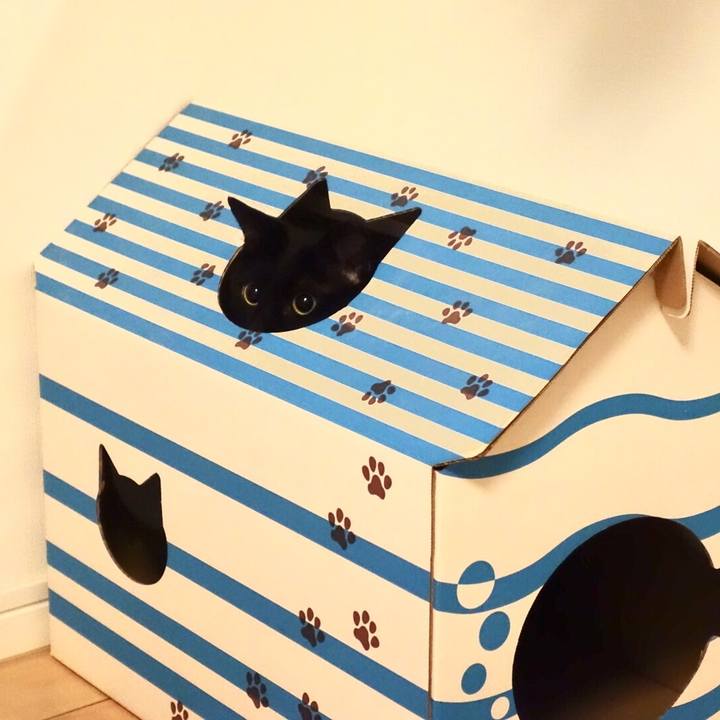 56201d4f 7011 4116 90b2 30bf8e26cb2d