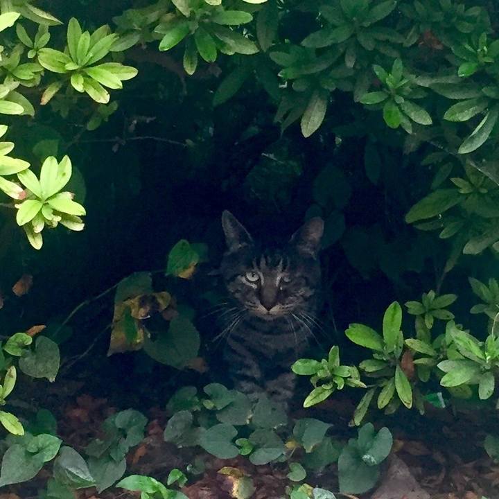 56203cb0 fce1 44d5 8470 8ad1b3719f39