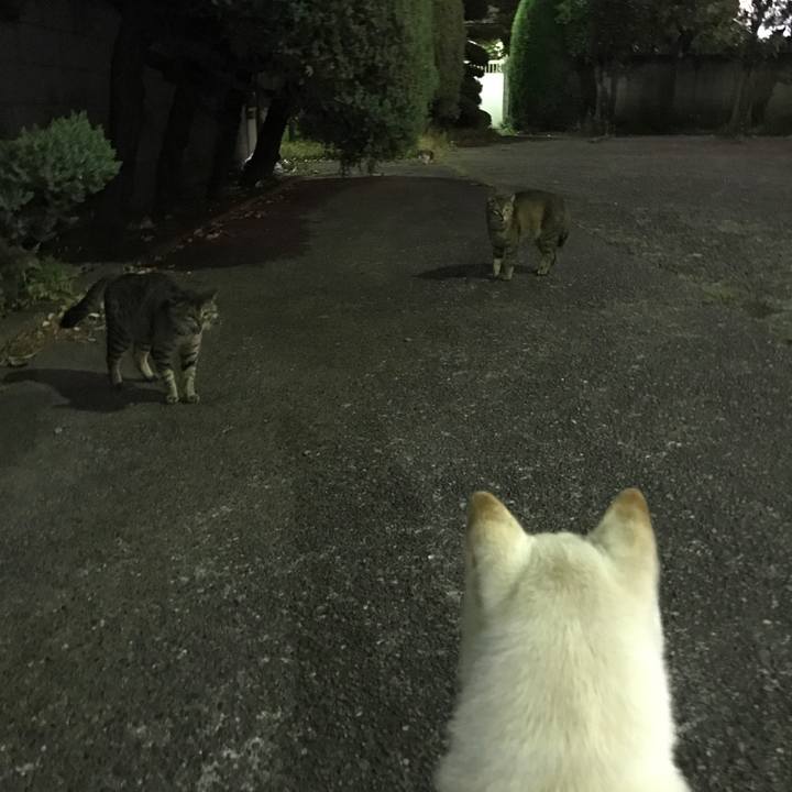 562047dd 5a55 42c3 9470 40975f9f328a