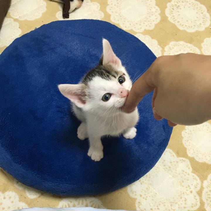 56206d25 0475 46e9 8824 a04c1cbf9144